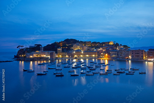 Canvastavla Silent bay ad Blue Hour, Sestri Levante, Liguria, Italy