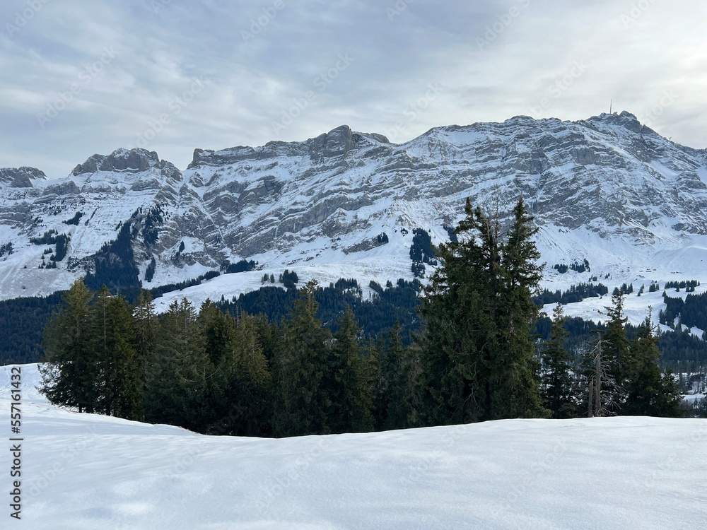 Late autumn atmosphe with the first snow on the mixed trees in the alpine area of the Alpstein mountain massif, Urnäsch (Urnaesch or Urnasch) - Canton of Appenzell Innerrhoden, Switzerland (Schweiz)