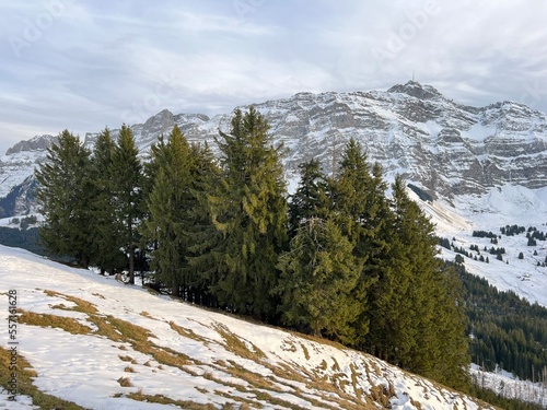 Late autumn atmosphe with the first snow on the mixed trees in the alpine area of the Alpstein mountain massif, Urnäsch (Urnaesch or Urnasch) - Canton of Appenzell Innerrhoden, Switzerland (Schweiz) photo