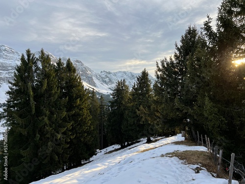 Late autumn atmosphe with the first snow on the mixed trees in the alpine area of the Alpstein mountain massif, Urnäsch (Urnaesch or Urnasch) - Canton of Appenzell Innerrhoden, Switzerland (Schweiz) photo