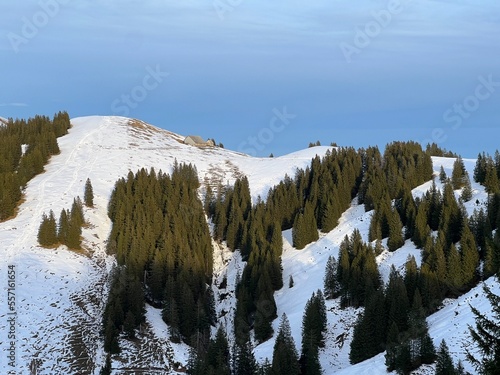 Late autumn atmosphe with the first snow on the mixed trees in the alpine area of the Alpstein mountain massif, Urnäsch (Urnaesch or Urnasch) - Canton of Appenzell Innerrhoden, Switzerland (Schweiz) photo