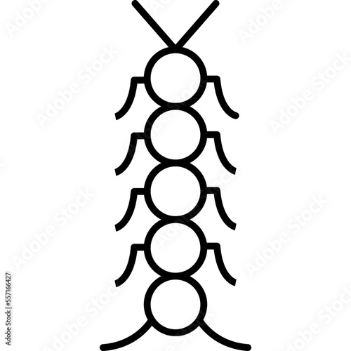 Insect Icon