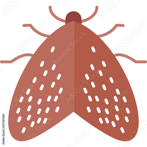 Insect Icon