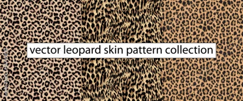 Obraz vector leopard skin seamless pattern illustration background, leopard skin textile fashion design for fabric print