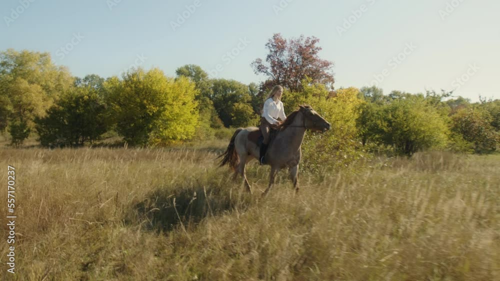 Female horsewoman galloping on a horseback with lush woods around. Active, experienced female rider enjoying her leisure day outdoors. High quality 4k footage Female horsewoman galloping on a horseback with lush woods around. Active, experienced female rider enjoying her leisure day outdoors. High quality 4k footage