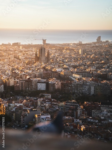 Aerial photo of the city in the golden hour