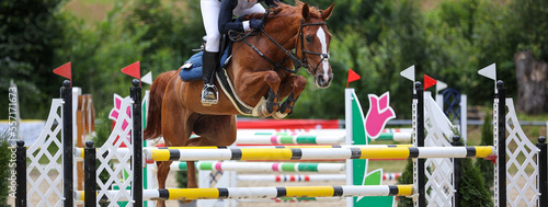 Photographie Horse jumping horse with rider over the obstacle, narrowly cropped across