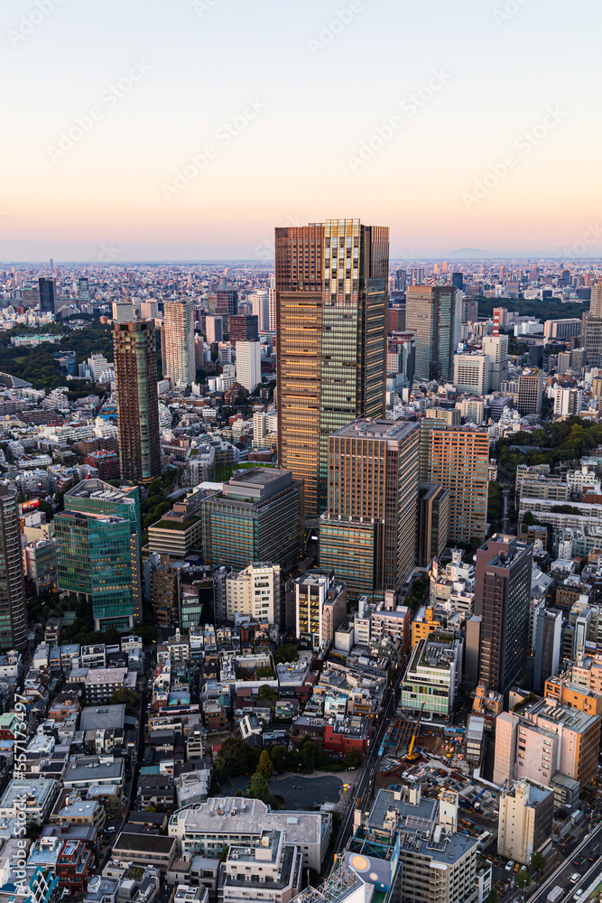 Fototapeta premium 都市景観