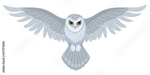 Cartoon snowy owl. White wildlife bird, flying wild predator bird flat vector illustration. Feathered snowy owl