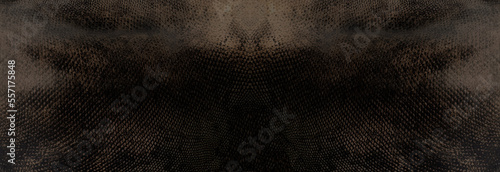 reptile lizard skin texture