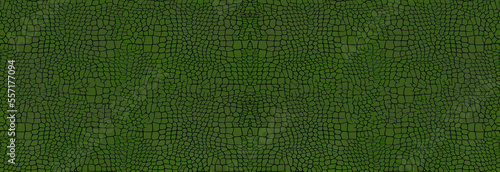 Vászonkép reptile lizard skin texture
