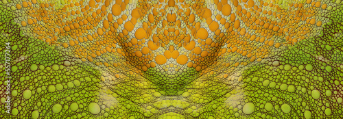 reptile lizard skin texture