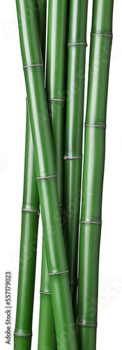 Fototapeta Naklejka Na Ścianę i Meble -  green bamboo sticks
