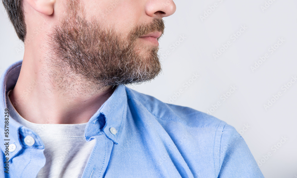Obraz premium bearded man with beard and chin in studio. photo of bearded man with beard.