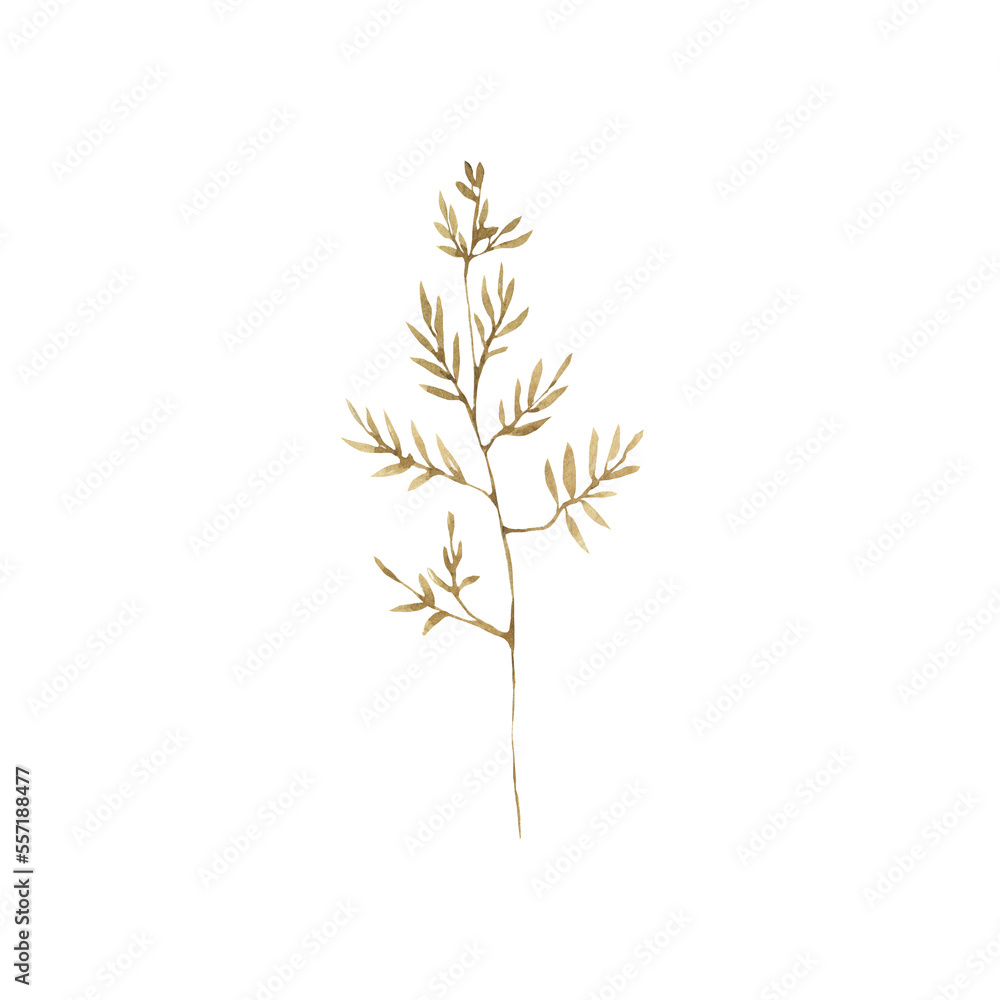 Fototapeta premium Watercolor leaf clipart.