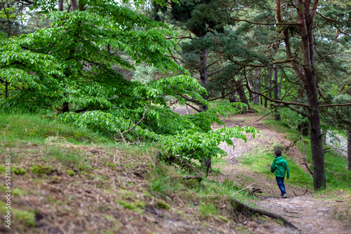 small, little, boy, teen, child walking alone in the woods, forest. green leafs
