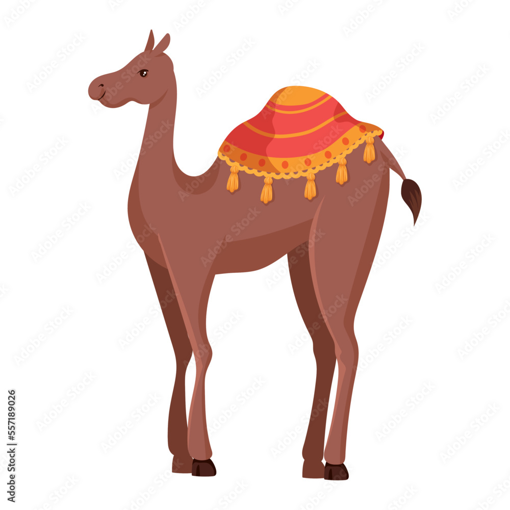 Naklejka premium camel desert transport