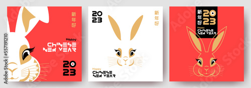 Chinese New Year 2023 modern art design Set with cute rabbit face for branding, cover, card, poster, web banner. Chinese symbol of Year of the Rabbit. Greeting templates in red, gold colors