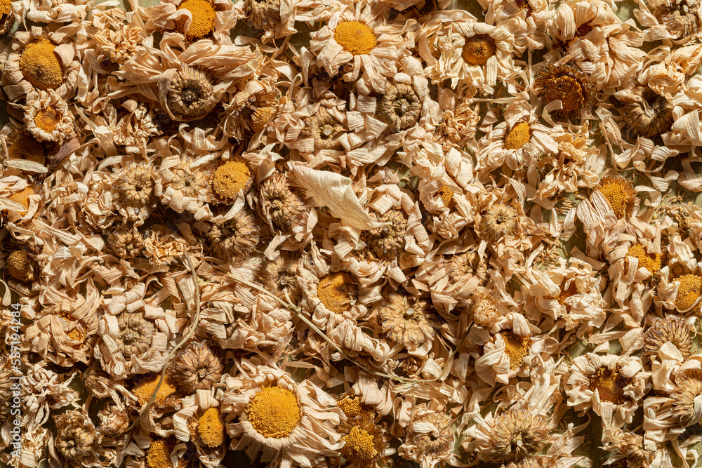 Dry chamomile plant is a raw material for medicines. Floral background- pattern abstract Dry chamomile plant is a raw material for medicines. Floral background- pattern abstract