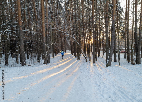 A young man in sports clothes runs through a snowy winter forest towards the rising sun in the early morning. Pine trees, sun rays, snow, morning jog.