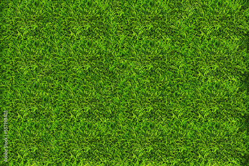 Green lawn to make a background in both graphic design and general work.