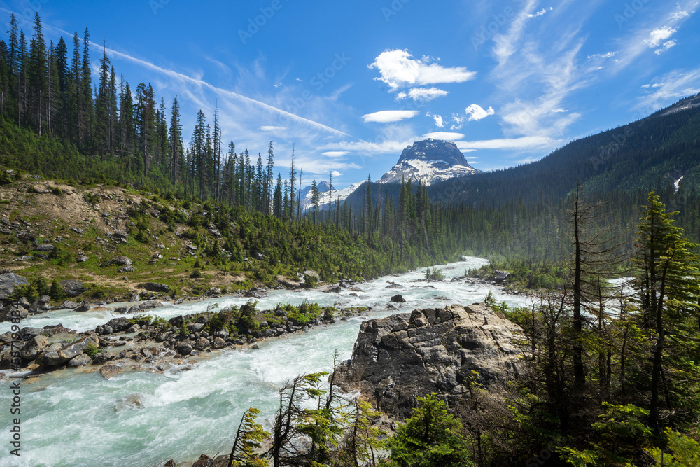 Fototapeta premium Takakkaw Falls river, British Columbia, Canada