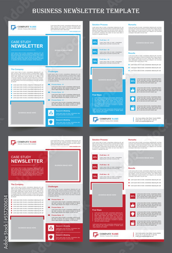 Professional Newsletter Template For Business