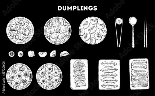 Dumplings sketch top view. Food menu design elements. Hand drawn set. Vector illustration. Chinese dumplings. Vintage illustration. Hand drawn food sketch. Design template.