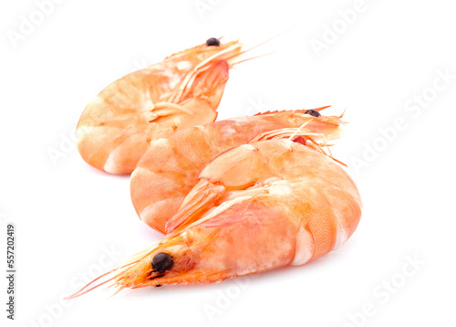 Shrimps on white background closeup.  Shrimps isolated.