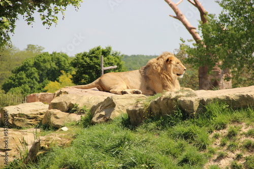 Zoo de Beauval - France