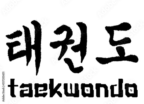 taekwondo logo vector