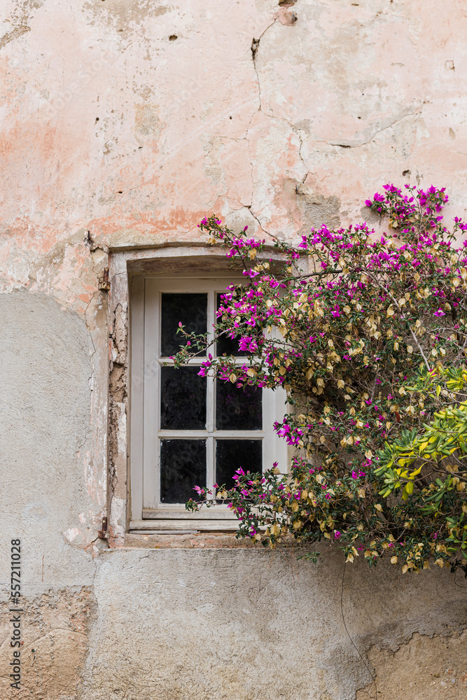 Window of an old house with flowers