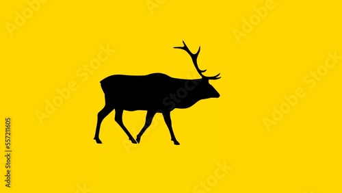 Walking red deer, animation on the yellow background