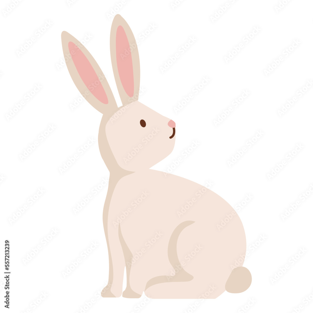 Obraz premium rabbit farm animal