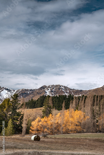 Scenic view of Lake Tekapo east bank. Beautiful view driving along the Lilybank Road from Lake Tekapo Park towards Motuariki View Point. Farm house can be seen near the view point. photo