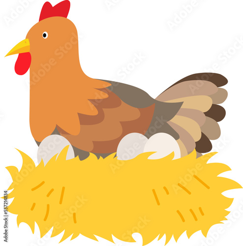 A Hen Incubate Her Egg On A Nest Vetor