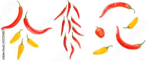 Chili pepper isolated on a white . Wide photo.