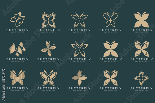 Butterfly logo. Luxury line logotype design. Universal premium butterfly symbol logotype. © irfan