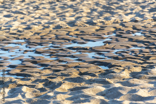 Water disappearing in sand on the beach  global warming  water shortage scarcity concept