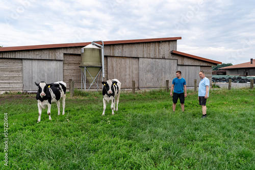 Landwirt und Sohn stehen auf einer Rinderwiese, die Rinder halten Abstand, im Hintergrund ein Rinderstall. photo