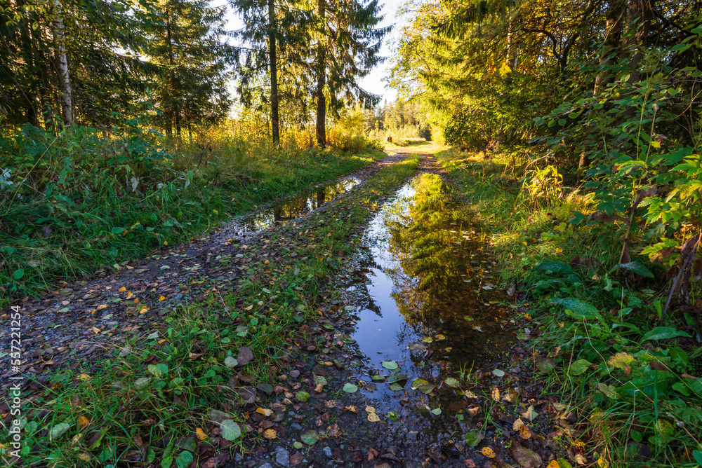 Gravel road in the forest. Reflections in water. Jakobstad/Pietarsaari, Finland. Gravel road in the forest. Reflections in water. Jakobstad/Pietarsaari, Finland.