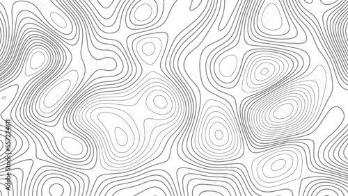 Topographic background and texture, monochrome image. White wave paper curved reliefs abstract background, Abstract lines background. Contour maps. Vector illustration, 