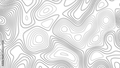 Topographic background and texture, monochrome image.
White wave paper curved reliefs abstract background,
Abstract lines background. Contour maps. Vector illustration,
