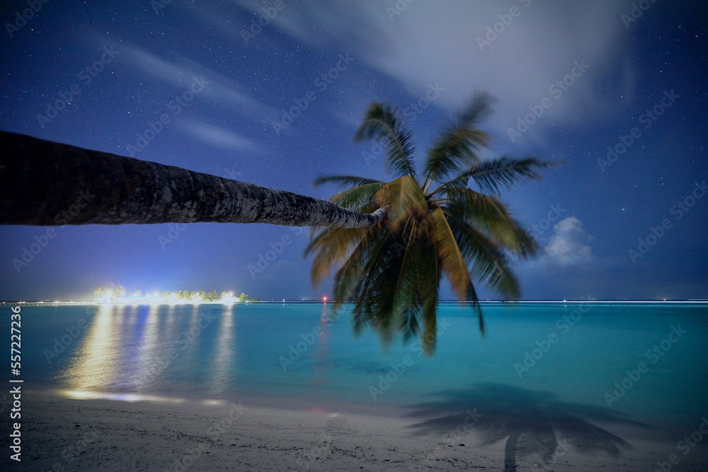 Palm tree on beautiful sand beach against stars on night sky. Idyllic beach in Maldives. .