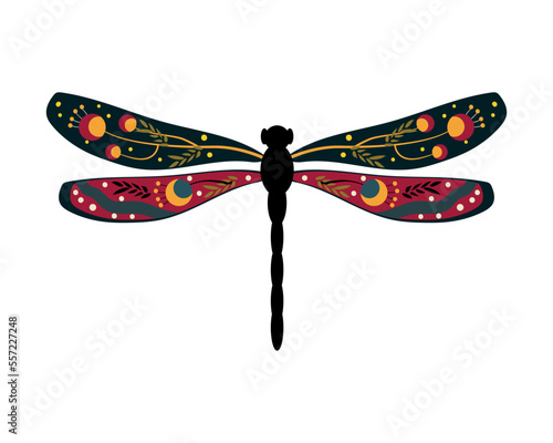Colorful dragonfly with floral ornament.