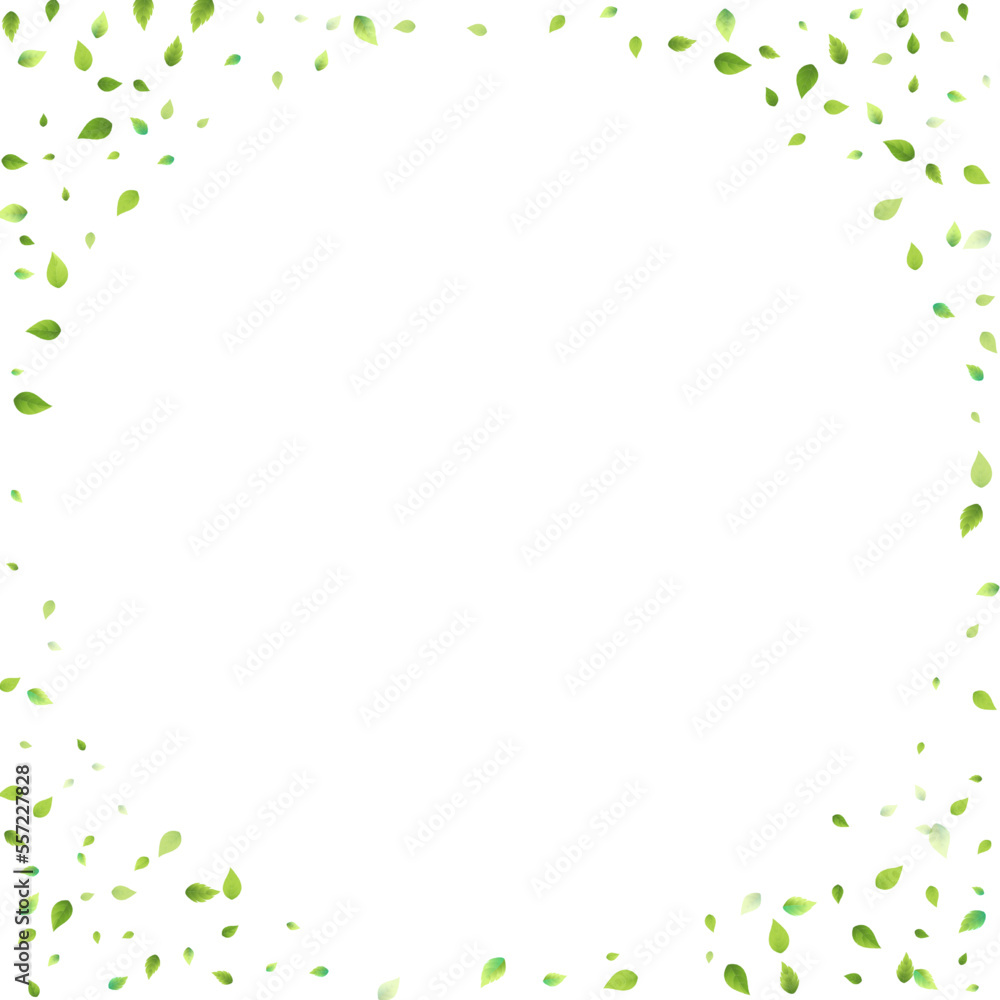 Leaves Green Falling Flying Foliage Leaf Tea Mint Leaves Green Falling Flying Foliage Leaf Tea Mint