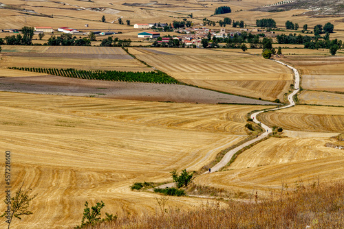 landscape in the country on the Way of St James (Santiago way)