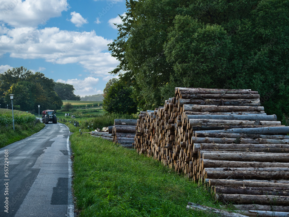 Stack of logs next to a road with a tractor approaching in the background on a nice day