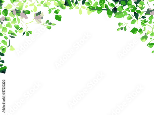 Cadre de feuille