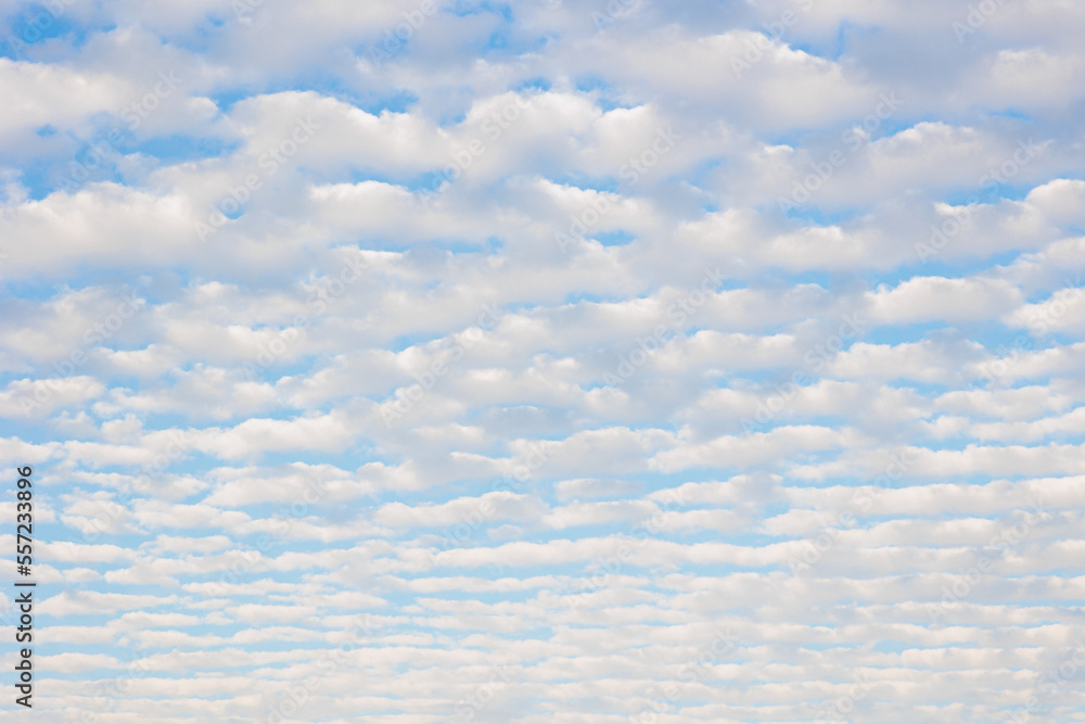 Cirrocumulus clouds forming over Northumberland on a lovely summers day